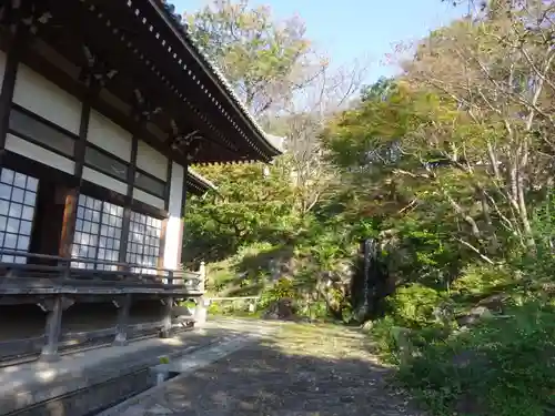 妙蓮寺の庭園