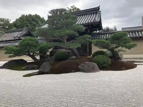 観智院（東寺子院）の庭園