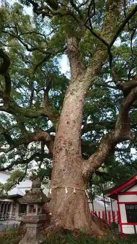 春日神社のその他建物