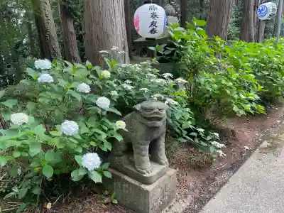 磯山神社(栃木県)