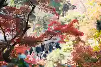 円覚寺(神奈川県)