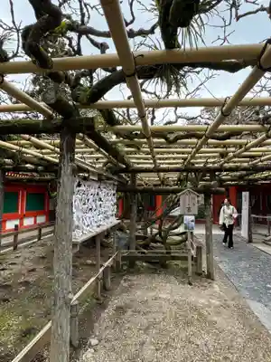 春日大社(奈良県)