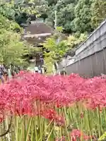横浜 西方寺(神奈川県)