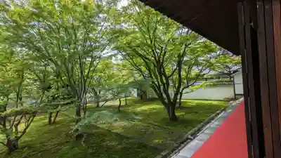 妙覺寺（妙覚寺）(京都府)