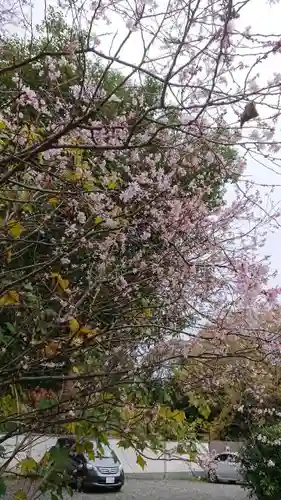 平野神社の庭園