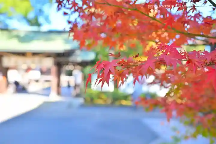 葛飾八幡宮(千葉県)