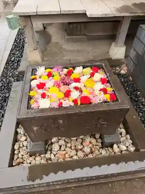 観音寺の{uncategorized: "未分類", other: "その他", undefined: "問題あり", building: "その他建物", grave: "お墓", sacred_gate: "鳥居", guardian: "狛犬", statue: "像", buddha: "仏像", history: "歴史", nature: "自然", garden: "庭園", animal: "動物", pagoda: "塔", temizu: "手水舎", mountain_gate: "山門・神門", sanctuary: "本殿・本堂", subordinate: "末社・摂社", art: "芸術", scenery: "景色", jizo: "地蔵", ema: "絵馬", goshuin: "御朱印", omikuji: "おみくじ", items: "授与品その他", amulet: "お守り", goshuincho: "御朱印帳", eats: "食事", festival: "お祭り", votive_dance: "神楽", shichigosan: "七五三参", wedding: "結婚式", experience: "体験その他", initially: "初詣", around: "周辺", anti_infection: "感染症対策"}