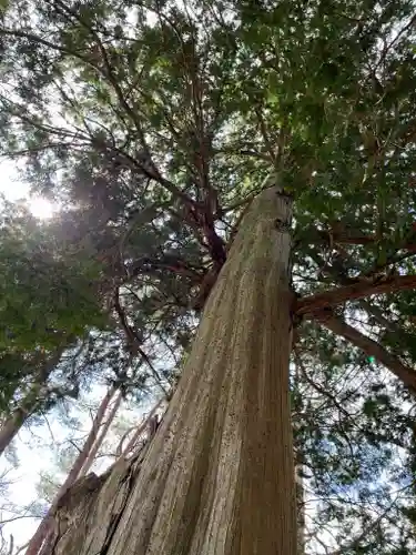 北口本宮冨士浅間神社(山梨県)