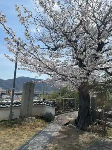 釜山寺(広島県)