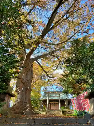 愛宕神社(福島県)
