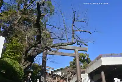 伊勢山皇大神宮(神奈川県)