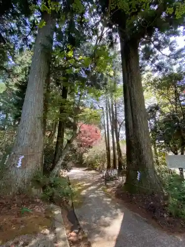 西照神社(徳島県)