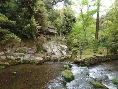 賀茂別雷神社（上賀茂神社）(京都府)