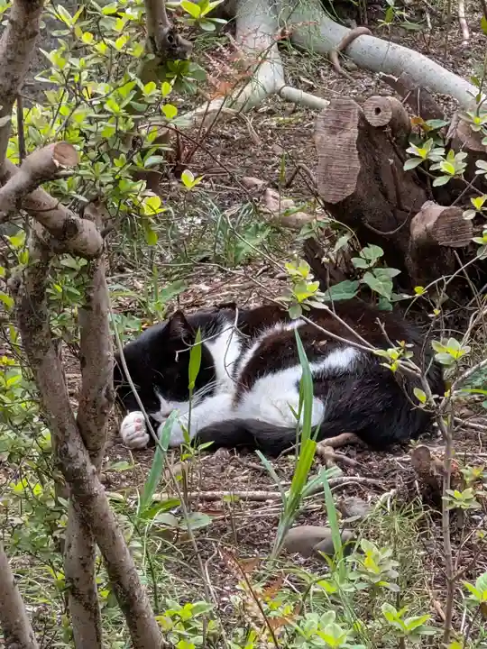 白金氷川神社(東京都)