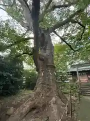 愛宕神社(福島県)