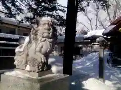 新琴似神社の狛犬