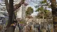 妙建山本立寺の自然