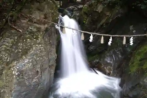 丹生川上神社（中社）の自然