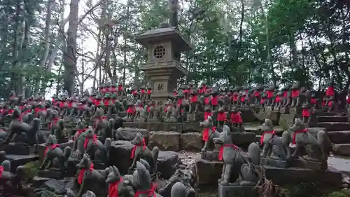 豊川閣　妙厳寺の狛犬