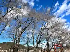 子檀嶺神社(長野県)