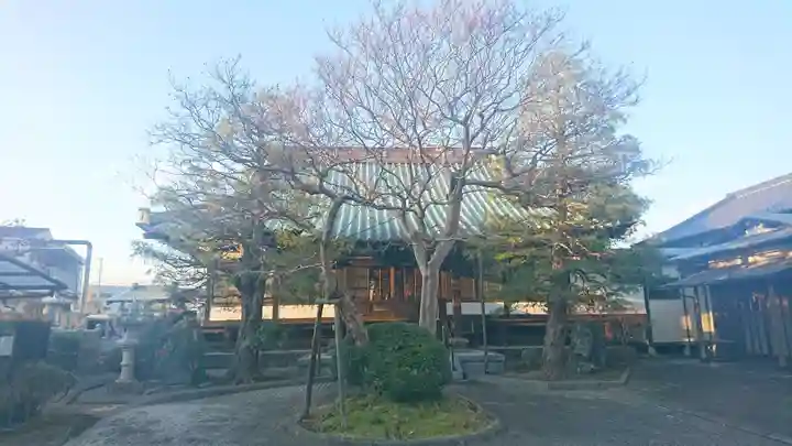 妙隆寺の本殿・本堂