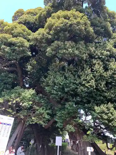 九重神社(埼玉県)