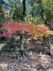 鶏足寺(滋賀県)