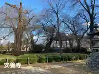 安養寺(長野県)