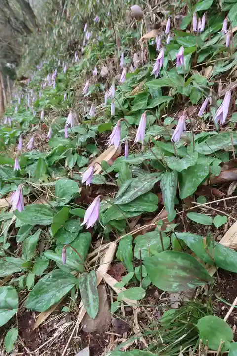 達身寺(兵庫県)