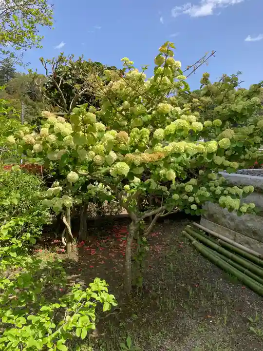 西光寺(神奈川県)