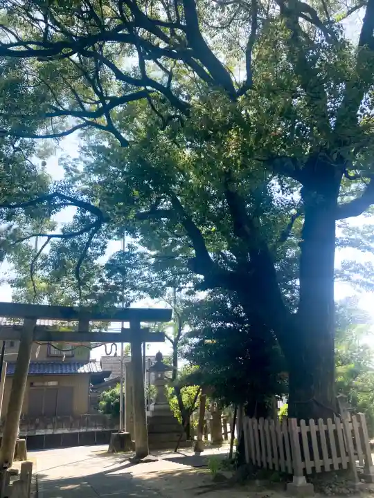 大神神社(花池)(愛知県)