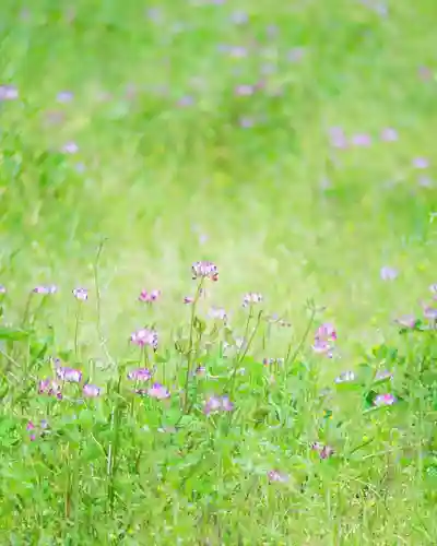 浄土寺(兵庫県)