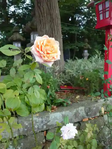 神炊館神社 ⁂奥州須賀川総鎮守⁂の庭園