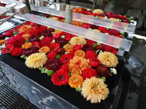 成田山深川不動堂（新勝寺東京別院）(東京都)