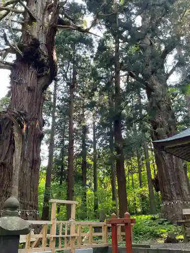 巖鬼山神社(青森県)