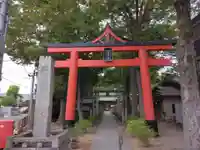 丸子山王日枝神社の鳥居