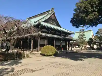 豪徳寺(東京都)