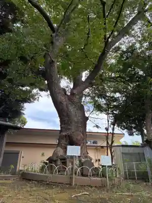 稲荷神社(千葉県)