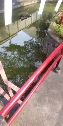 磐井神社(東京都)
