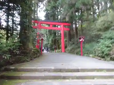 箱根神社の鳥居