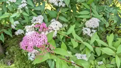 勝林寺(京都府)