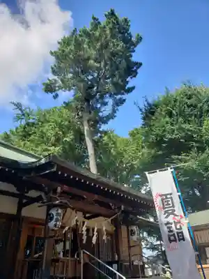 下高井戸八幡神社の本殿・本堂
