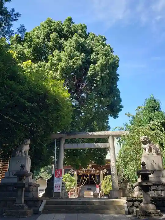 諏訪神社の鳥居