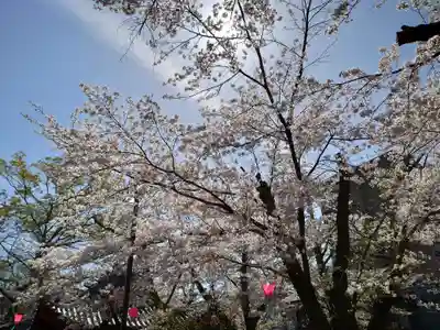岐阜護國神社(岐阜県)