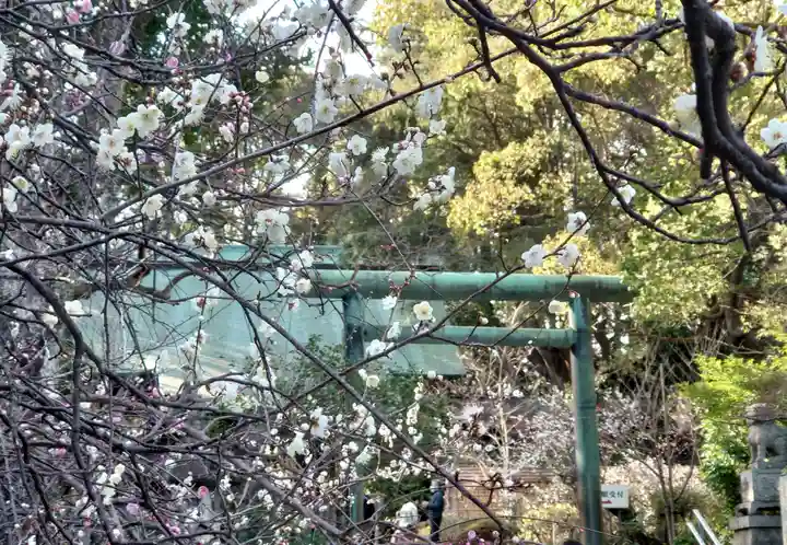 報徳二宮神社(神奈川県)