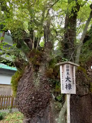 富知六所浅間神社(静岡県)