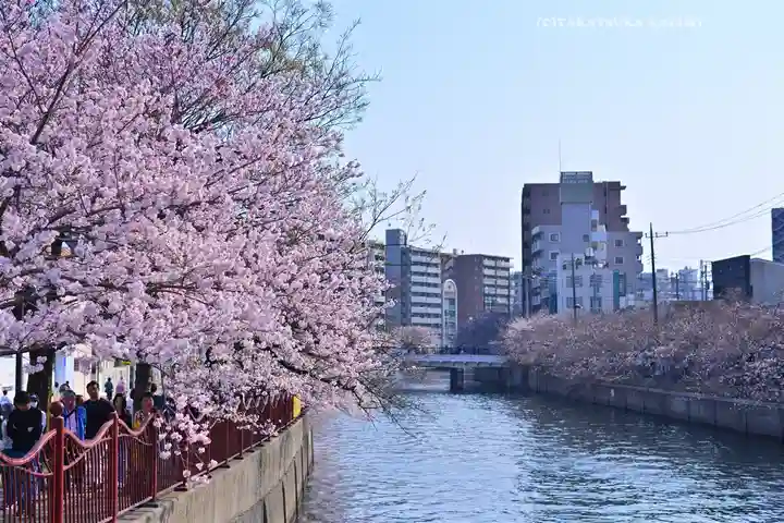 子神社(神奈川県)