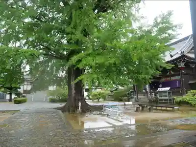 地蔵寺(徳島県)
