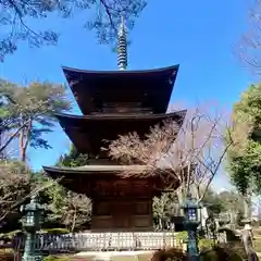 豪徳寺(東京都)