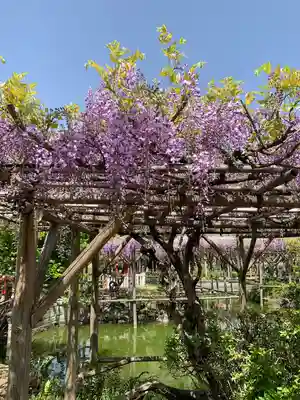 亀戸天神社(東京都)